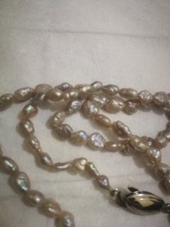الجوهر البحري perle fine  2