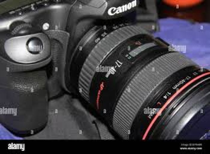 Canon EOS 40 d 4
