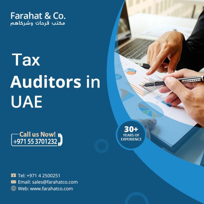 هل تحتاج لوكيل ضريبي مختص في ضريبة الشركات في دولة الامارات العربية المتحدة؟