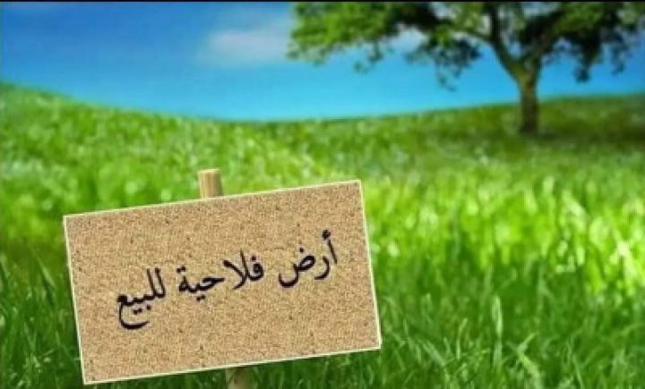 ارض فلاحية  للبيع نواحى جمعة اسحيم