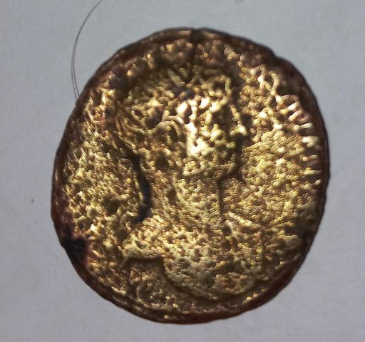 عملة رومانية