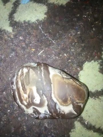 حجر غريب