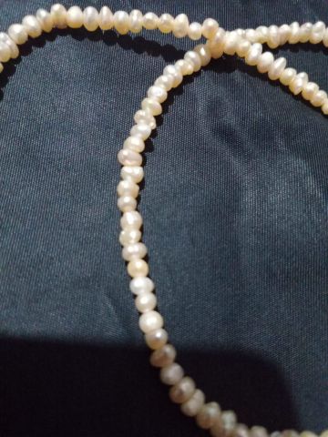 جوهر حر ولود طبيعي 2