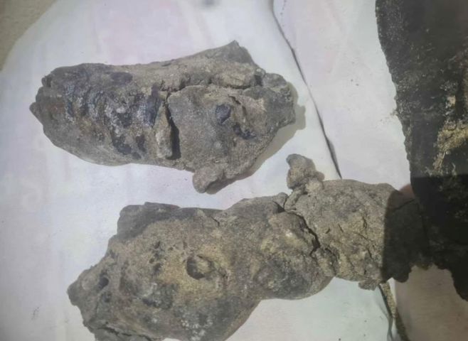 عنبر الحوت  4