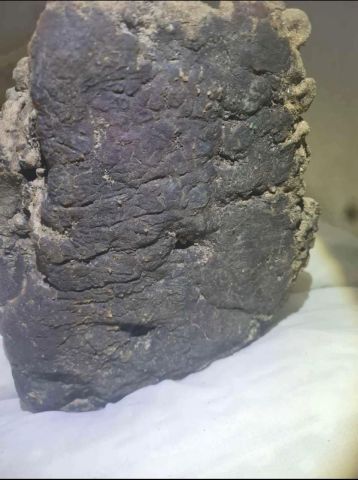 عنبر الحوت  5