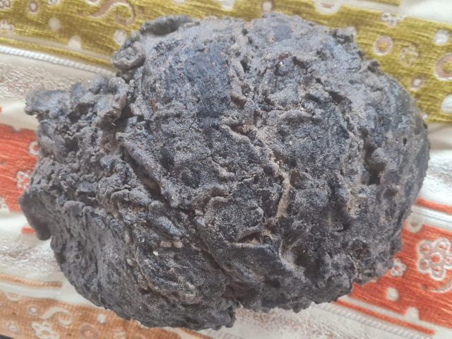 عنبر الحوت  6