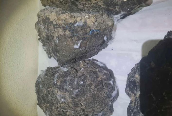 عنبر الحوت  7