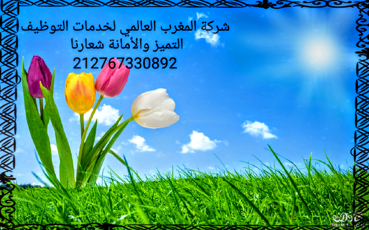تاشيرات   مهنية  للمملكة العربية السعودية 