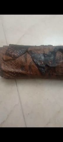 تقييد جلد أفعى 