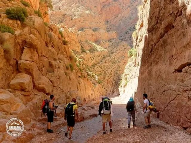 عملات معدنية 