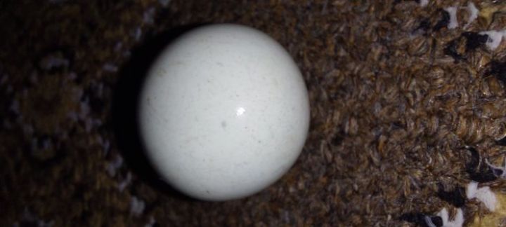 lonsdaléite 