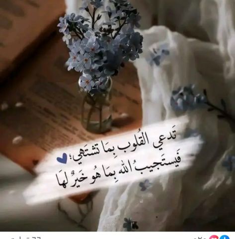 مساعدة معنوية 3