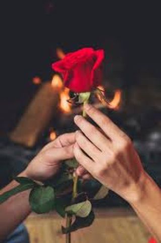 أبحث عن شريكة حياتي 