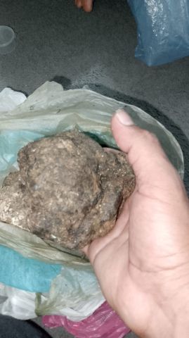 الراشيدية
