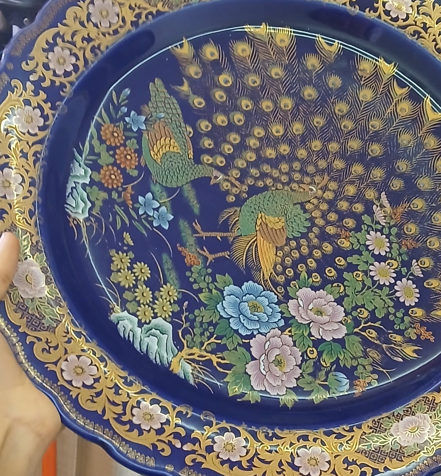 طبسي طاوس حر  2