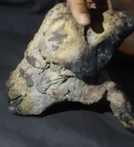 عنبر خام للبيع 4