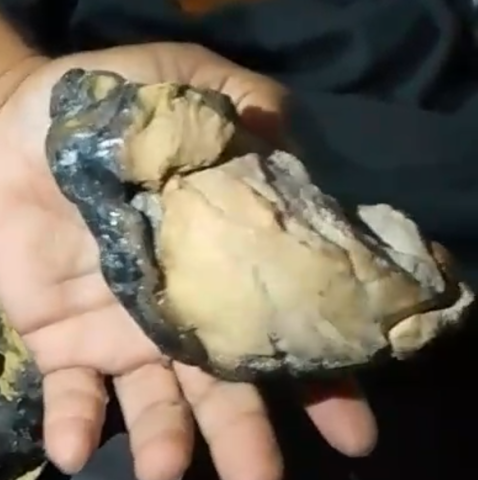 عنبر خام للبيع 5