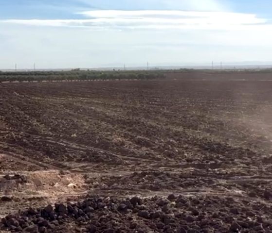 أرض فلاحية للبيع 2