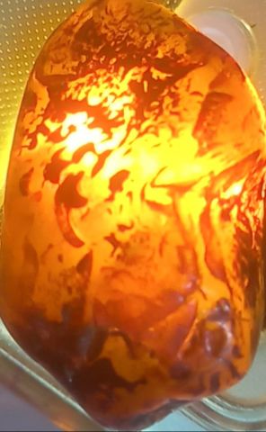 نور القدر  4