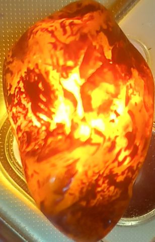 نور القدر  8