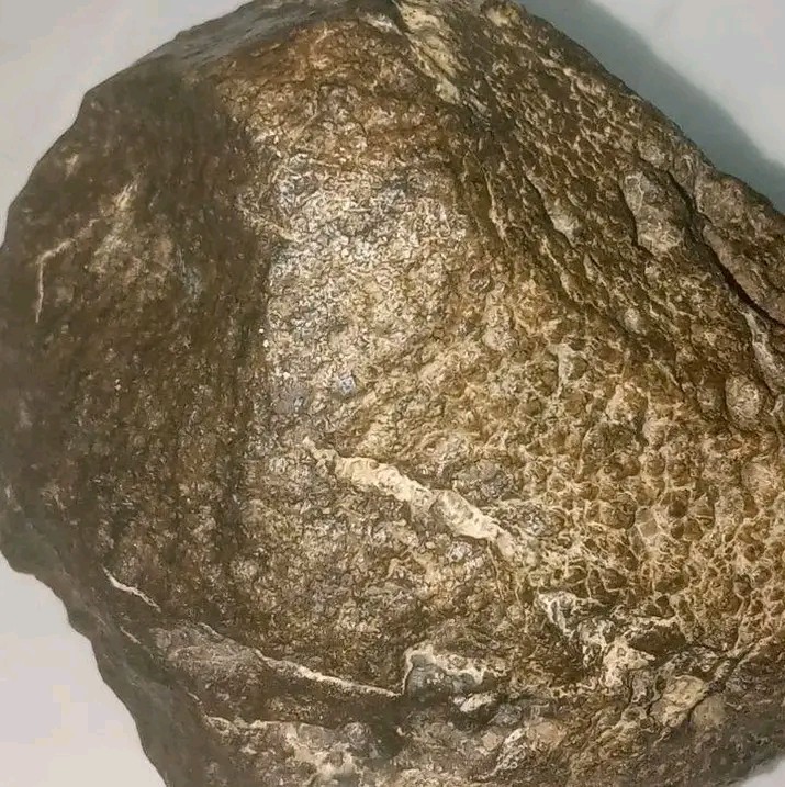 Breccia meteorite rocks. Lunar. احجار النيزك للبيع البريشيا القمر 6