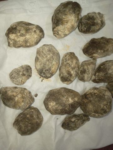 عنبر الحر 100% جودة ممتازة ثمن مناسب