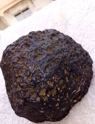 نيزك الكربوني 