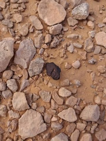 اعلان بيع حجر نيزكي 2