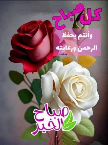 البحث عن شريكة حياتي 