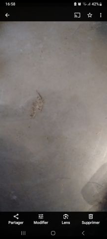 معدن 47 خالص ( فضة حرة ) اكثر من 100سنة  5