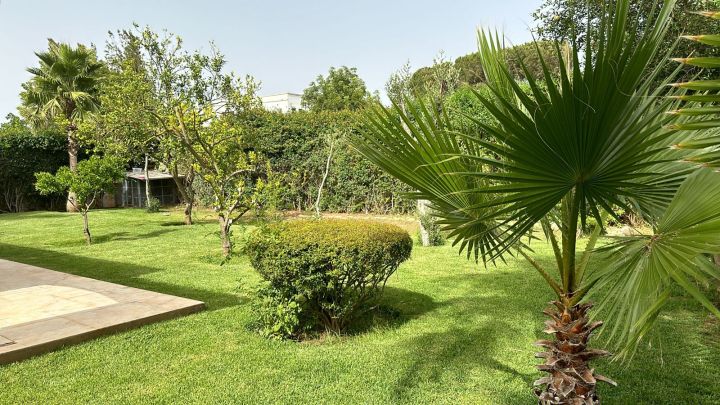 فلال للبيع الرباط  3