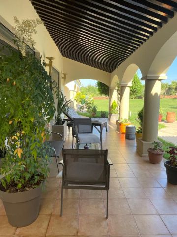 فلال للبيع الرباط  8