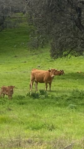 مزارع وفنادق واراضي ومنازل للبيع في اسبانيا  5