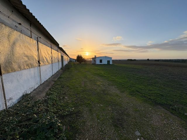 مزارع وفنادق واراضي ومنازل للبيع في اسبانيا  7