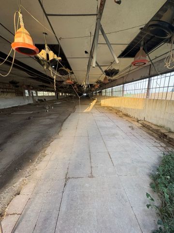 مزارع وفنادق واراضي ومنازل للبيع في اسبانيا  9