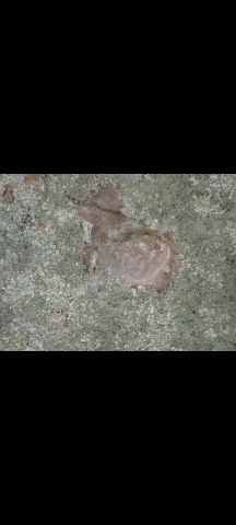 جرن يحتاج إلى تفسير