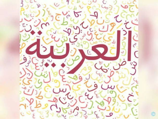 أستاذة لغة عربية – دروس دعم عن بعد للإعدادي والابتدائي 