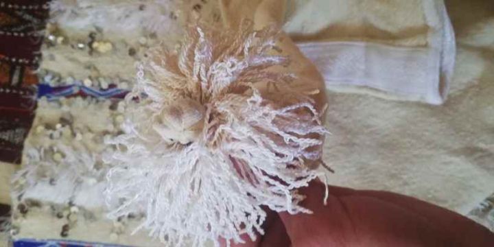 سلهام الرجال الزموري الاصيل  4