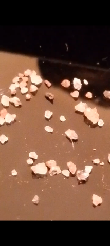 حجر حاضن الالماس 