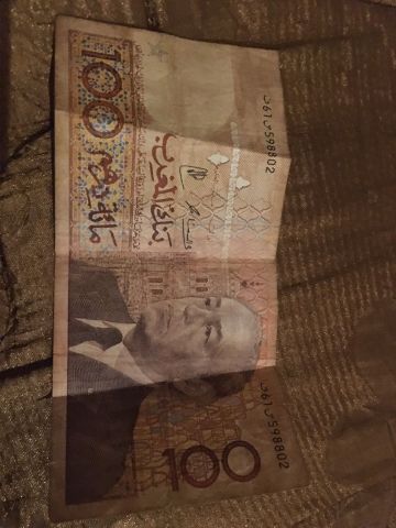 النخيل الشمالي مراكش 2