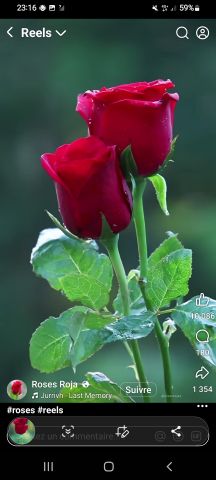 إمرأة للزواج 