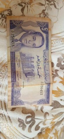 الدر البيضاء 