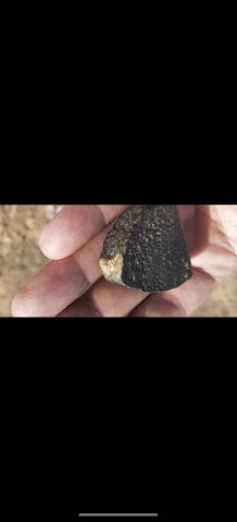 نيزك من النوع الجيد achondrite 2