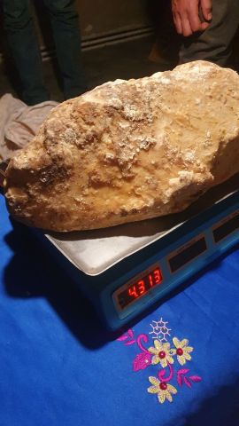 عنبر الحوت  2