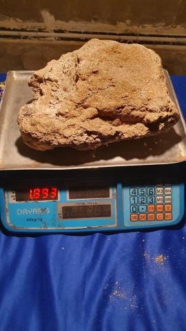 عنبر الحوت  3