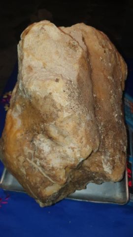 عنبر الحوت  4