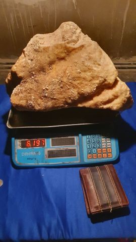 عنبر الحوت  5