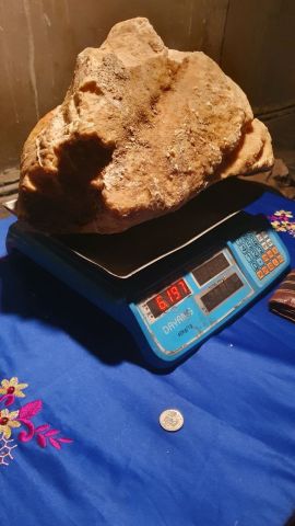 عنبر الحوت  7