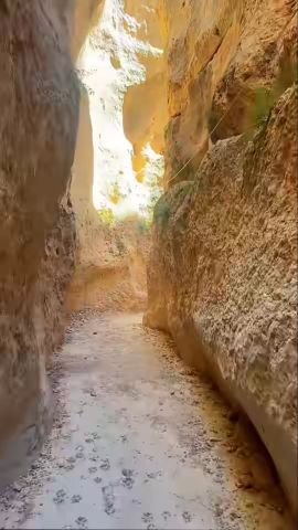 المغرب وجدة 3