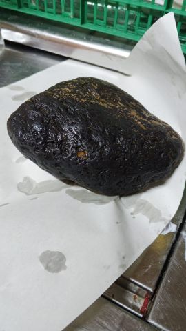 نيزك للبيع وزنه 1700 غرام